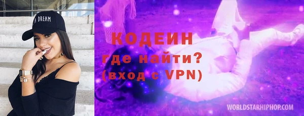 индика Верхний Тагил