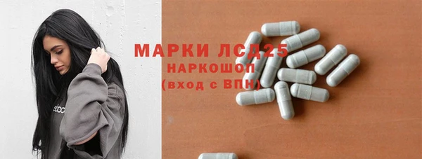 СК Волоколамск