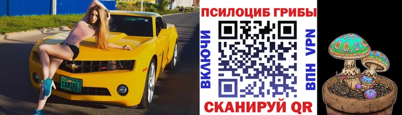Галлюциногенные грибы MAGIC MUSHROOMS Дегтярск